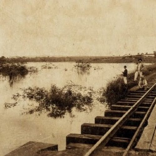 Histórias e estórias do Tangerynus