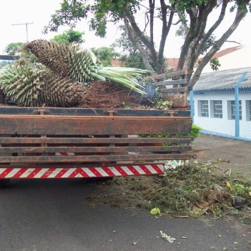 Depósito de resíduos de podas de árvores em via pública causa transtornos