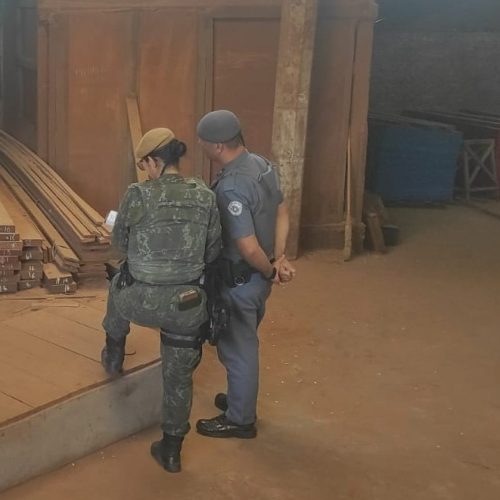 Flagrantes ambientais geram mais de R$ 22 mil em multas na região
