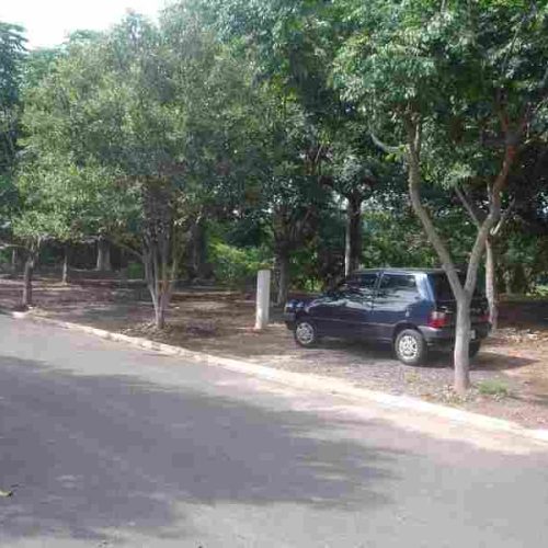 Cidadão ferreirense promove melhoria das condições ambientais de bairro
