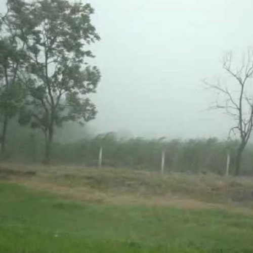 Tempestade de ontem provocou grandes danos em granja de Descalvado