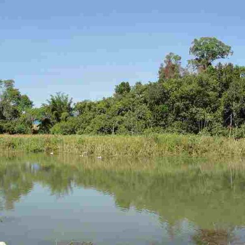 Parque Ecológico Henriqueta Libertucci preparou Calendário Ecológico