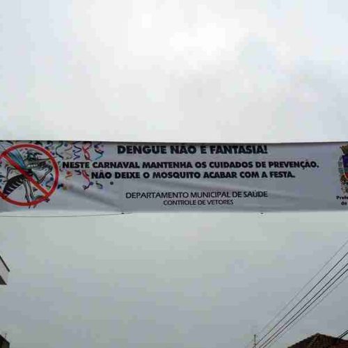 Campanha contra a dengue no carnaval de Porto Ferreira