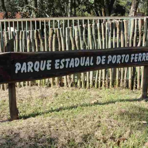 Portal da UNESP divulga estudo no Parque Estadual de Porto Ferreira.