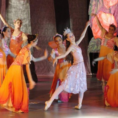 6º Festival de Ballet do PFFC