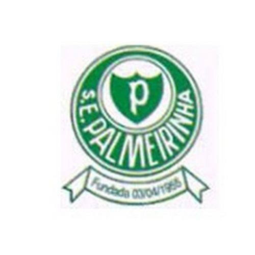 Federação Paulista de Futebol libera o campo do Palmeirinha