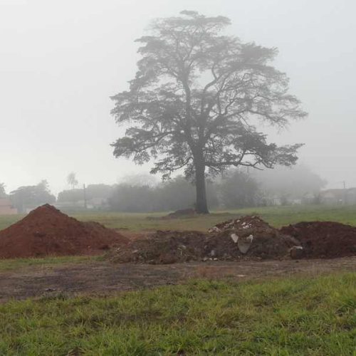 Queda na temperatura exige cuidados com a saúde