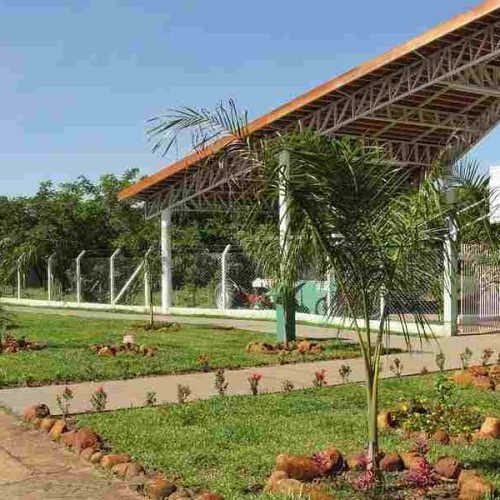 Semana do Meio Ambiente: anunciada a programação