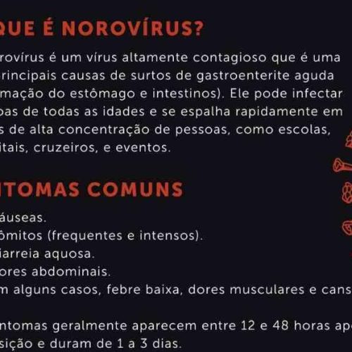 Saúde & Férias: surto de virose provocado pelo Norovírus neste verão no litoral paulista; defenda-se
