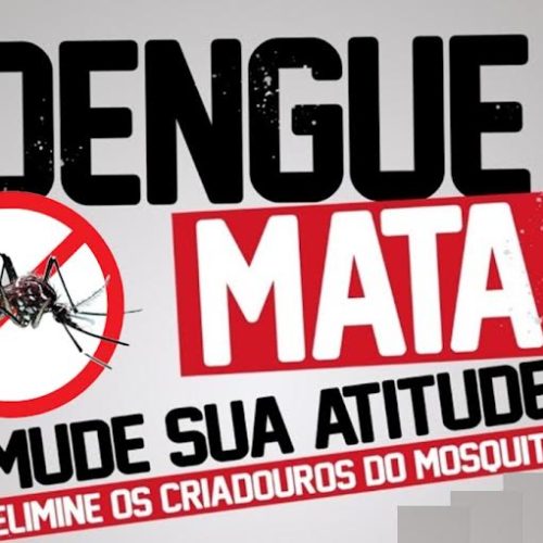 Porto Ferreira, Descalvado e Santa Rita do Passa Quatro estão “numericamente” em epidemia de dengue