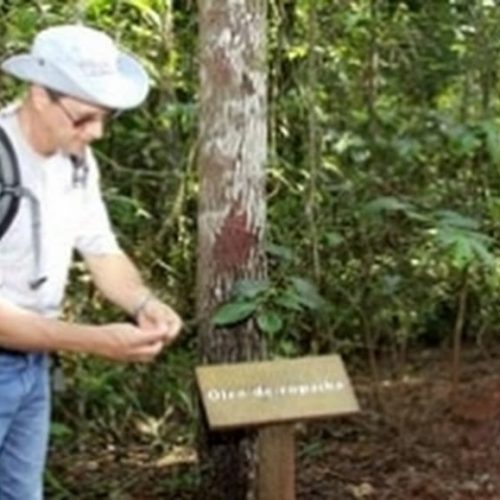 Biodiversidade do Parque Estadual de Porto Ferreira atrai pesquisadores
