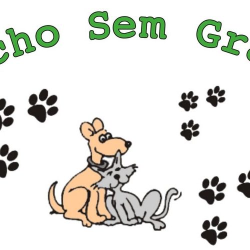 Bicho Sem Grana continua trabalhando “em prol dos animais”