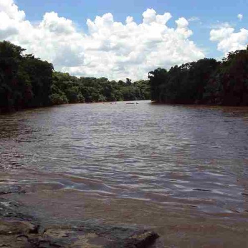 Leme – Meio Ambiente realiza SOS Mogi neste domingo