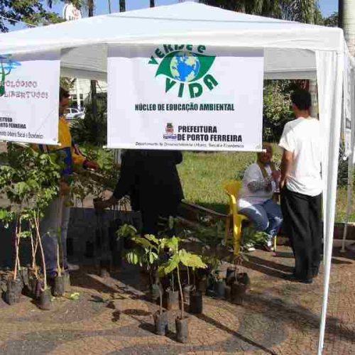 Semana do Meio Ambiente teve gincana e distribuição de mudas de árvores nativas