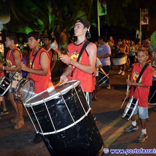 Quatro blocos de bois desfilaram domingo pela Av. Eng. Nicolau de Vergueiro Forjaz