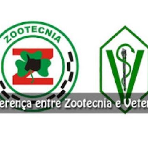 Educação & Fututo: Veterinária ou Zootecnia? Descubra qual caminho seguir