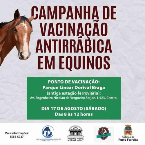 Porto Ferreira faz vacinação antirrábica e microchipagem de equídeos neste sábado, dia 17 de agosto