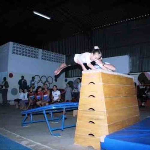 IV Festival de Ginástica Artística é realizado com sucesso