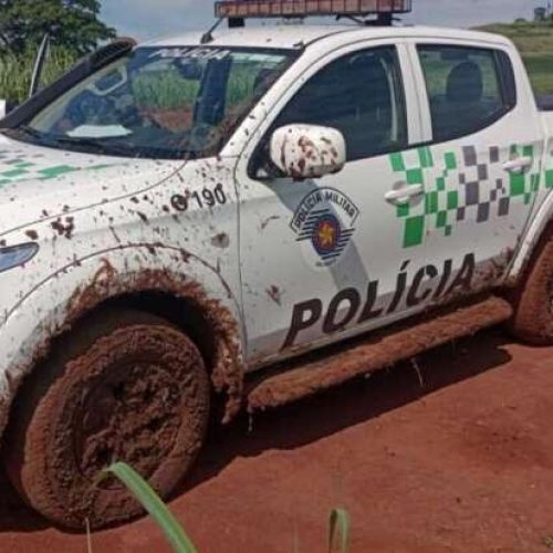 1º Pelotão de Polícia Militar Ambiental de Pirassununga divulga produtividade de 2022