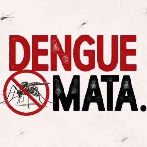 Porto Ferreira apresentou em outubro mais casos de Dengue que meses de agosto e setembro,