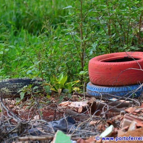 Epidemia de dengue e crise da água não despertam a consciência ambiental