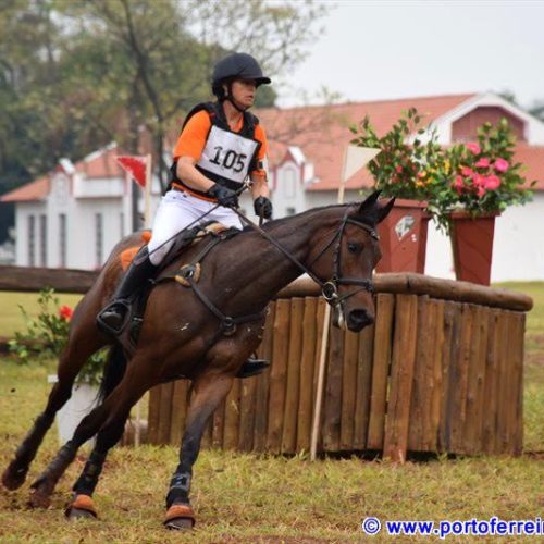 Veja fotos do 15º Campeonato Internacional de Equitação “Forte Anhanguera”