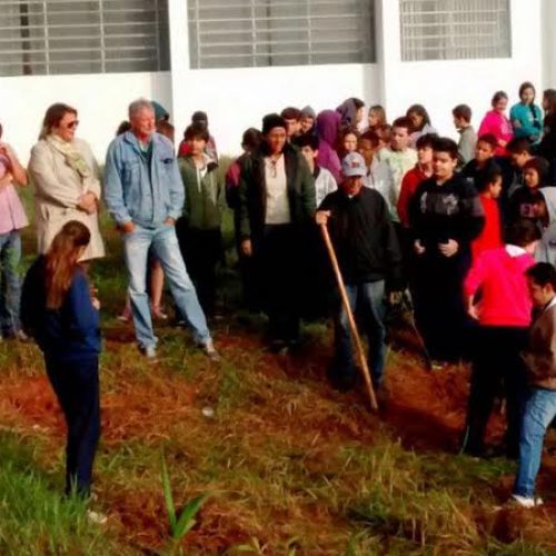 Emef Professor José Gonso faz plantio de árvores para marcar a Semana do Meio Ambiente