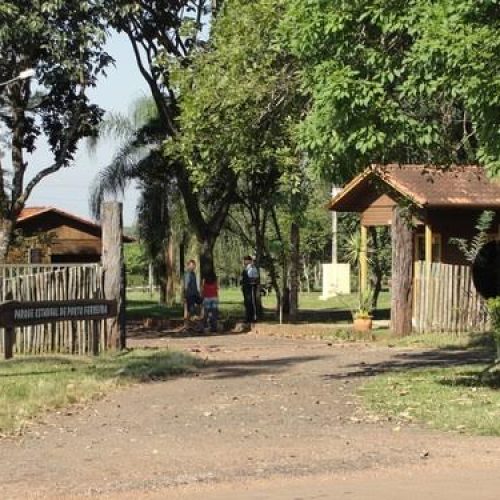 Datas ambientais da primeira quinzena no mês de maio