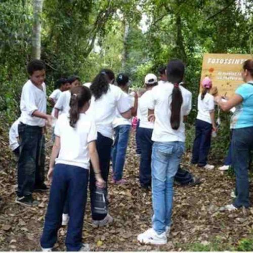 Parque Estadual de Porto Ferreira faz parceria com o Departamento de Educação