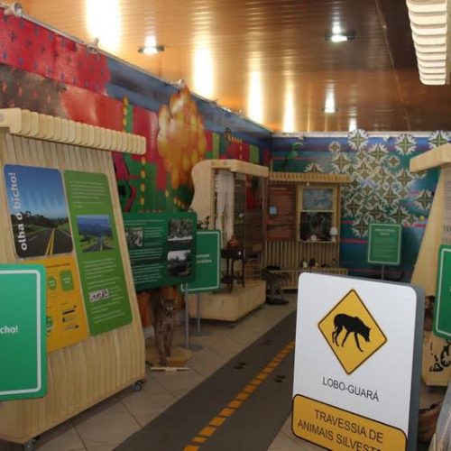 Exposição Bicho quem te viu, quem te vê! em Porto Ferreira