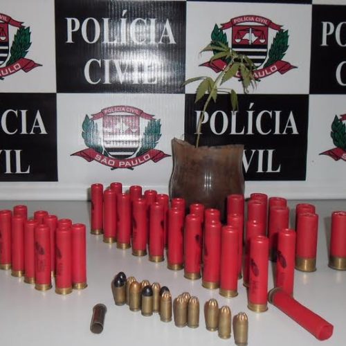 Polícia Civil de Porto Ferreira prende homem em flagrante por posse irregular de munições