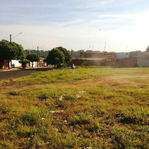 Porto Ferreira registra 233 casos de dengue e 55 suspeitas aguardam resultados