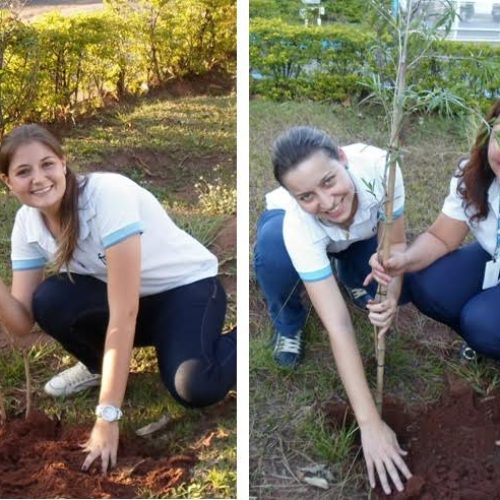 Integrantes da Foz plantam árvores na Estação de Tratamento de Água