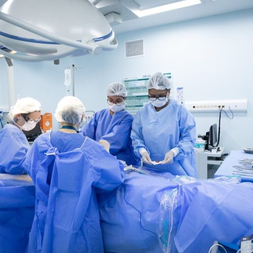 São Paulo investe R$ 18 milhões em pesquisas para transplantes de órgãos de animais em humanos
