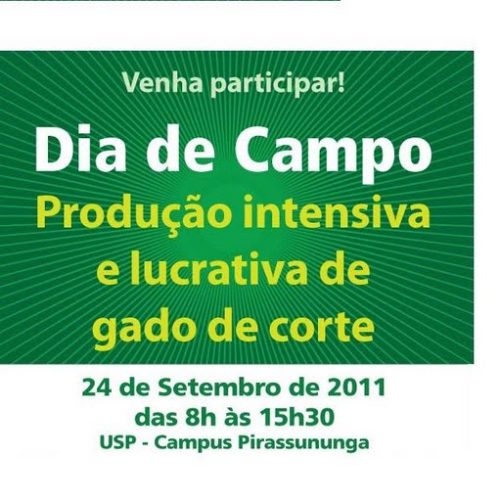 USP Campus de Pirassununga sedia evento sobre gado de corte