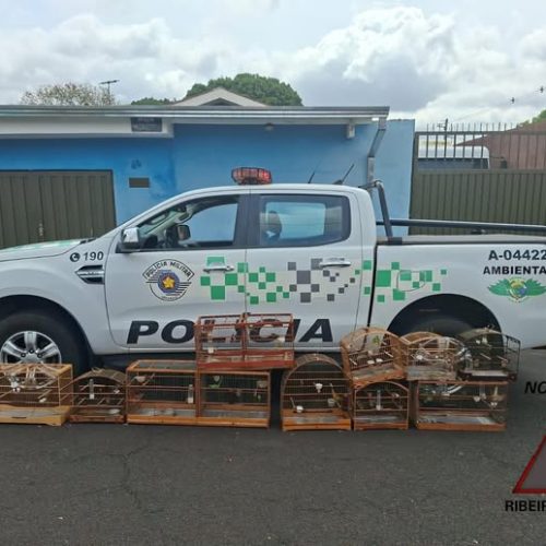 Operação “Cativeiro Zero” resgata aves silvestres mantidas ilegalmente
