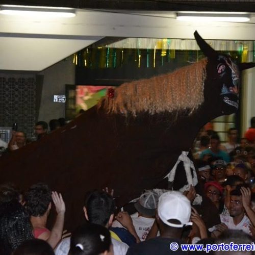 Blocos do Burro e da Zebra abriram o carnaval de rua Porto Ferreira com grande número de foliões