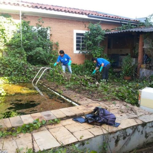 Dengue: com cerca de 3,5 mil casos em 2015, equipes prosseguem com limpeza e nebulização pela cidade