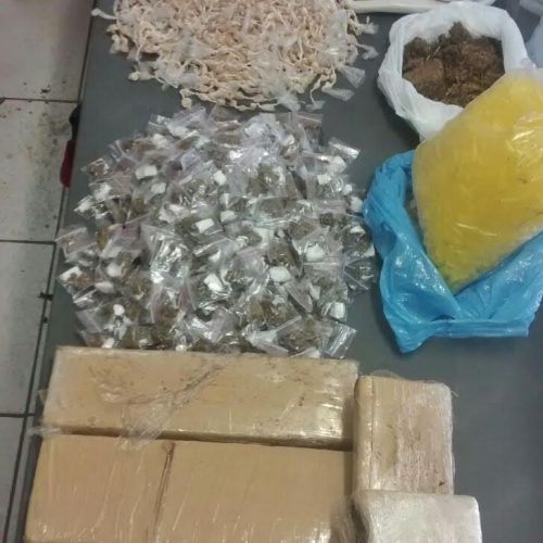 ROCAM localiza grande quantidade de entorpecentes em área de mata às margens do Mogi Guaçu