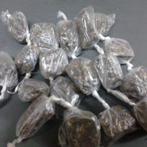 Policiais militares da Força Tática localizam drogas em terreno na Vila Maria