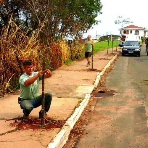 Em comemoração ao Dia da Árvore, Divisão de Meio Ambiente faz o plantio de 160 mudas
