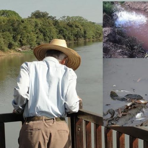 Semana do Meio Ambiente: um momento para refletir