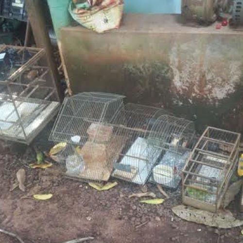 Polícia Ambiental de Pirassununga realiza Operação Piracema 2 com várias apreensões