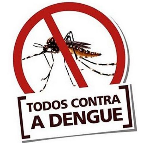 Porto Ferreira vai participar de mutirão regional de combate à dengue no dia 30