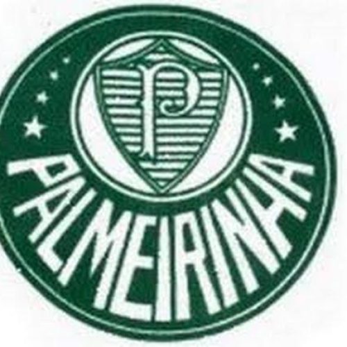 Palmeirinha perde em casa na 13ª rodada da primeira fase da Segunda Divisão do Campeonato Paulista