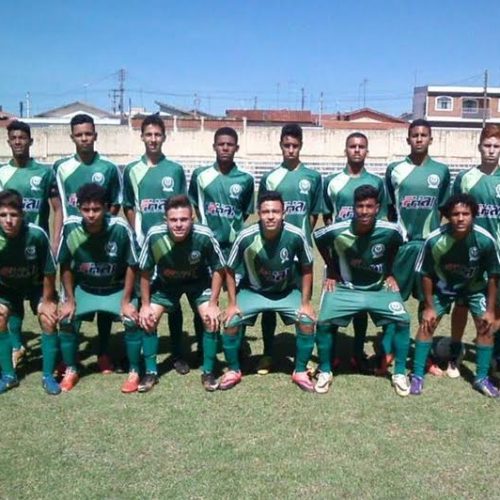 Sub 15 e Sub 17 da S.E. Palmeirinha vencem na Libertadores do Estado e avançam para quartas de final