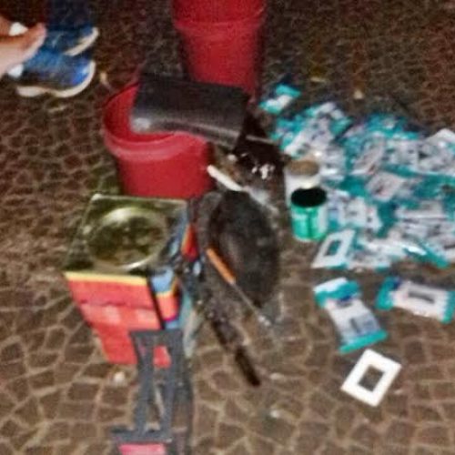 PM: dois homens e uma mulher foram presos em flagrante após realizarem furto em casa no José Gomes
