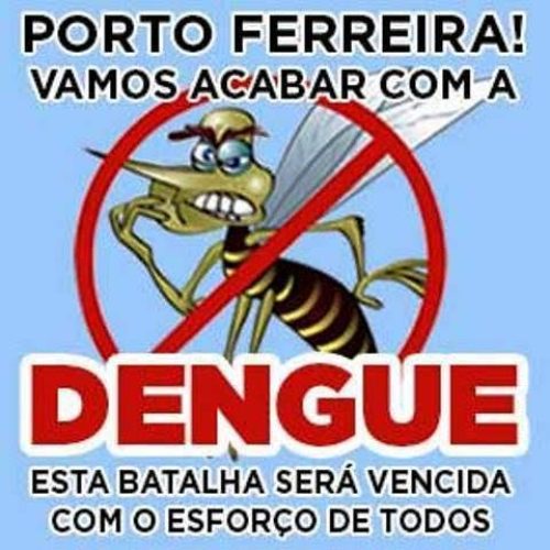 Porto Ferreira registrou dois casos de dengue importados