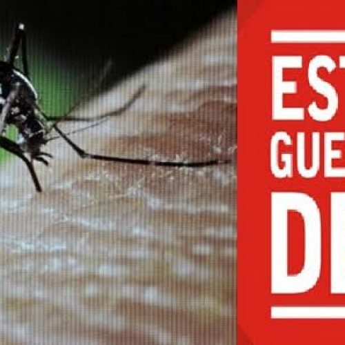 Arrastão contra a dengue no sábado será na Vila Maria e Santa Marta