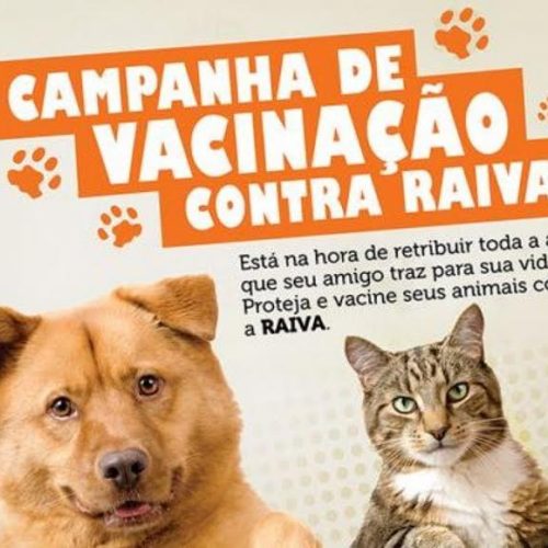 Vacinação de cães e gatos atinge mais de 4 mil animais; ainda existem doses disponíveis